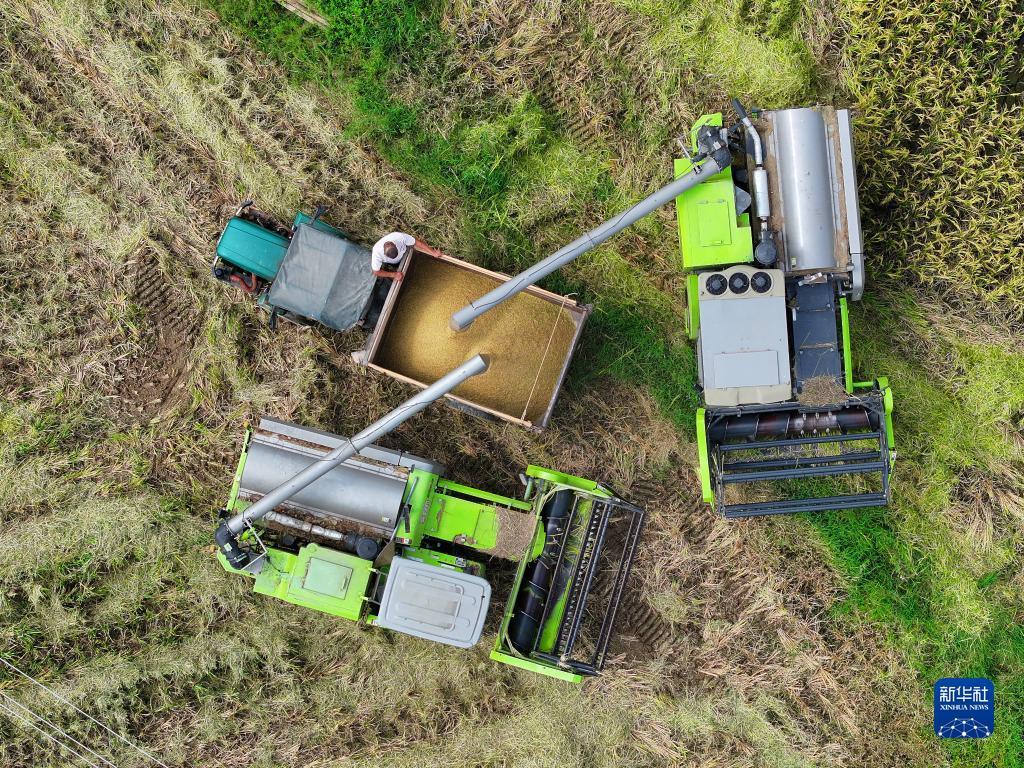 捕鱼游戏电脑版在线不用登录